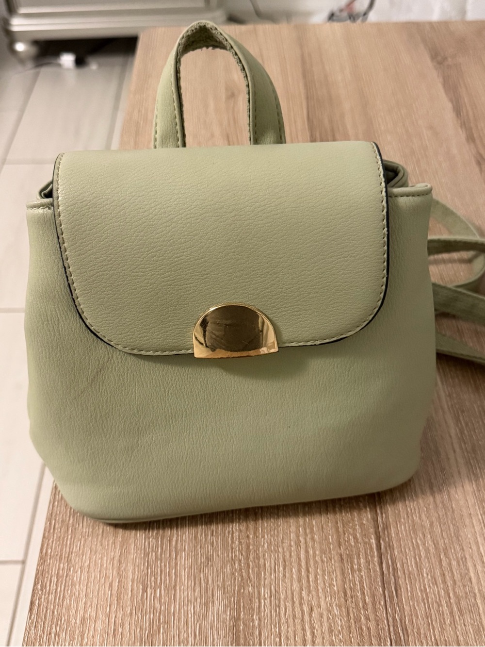 Mini Backpack Handbag in Sage Green with Gold Accent